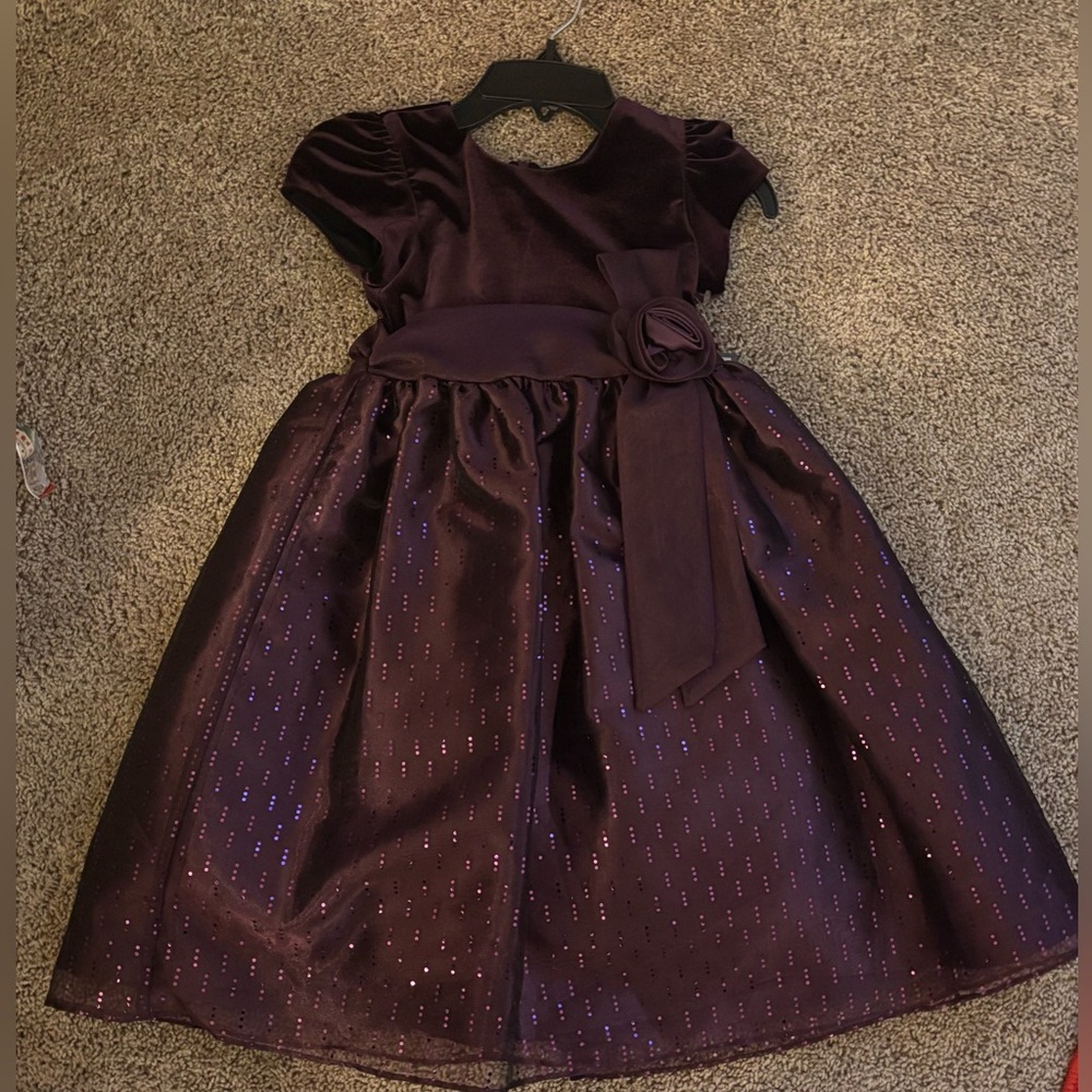 Plum Child Dress